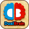 Dual Brain